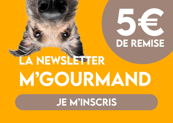 Newsletter M'Gourmand